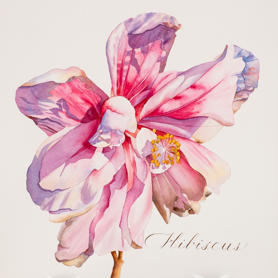 hibiscus-shopwag